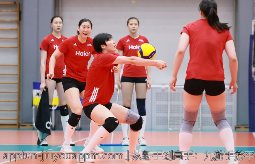 从新手到高手：九游手游平台app带你飞